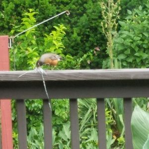 Meet your Posher, Dee